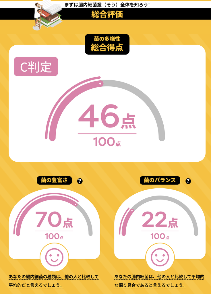 総合得点46点・C判定の結果画面
